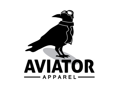 Aviator aeroplane aviator avio crow flyer raven sky wings