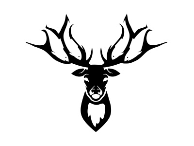 Fish And Antlers antlers deer elk fish mountain negative space outdoors river stag