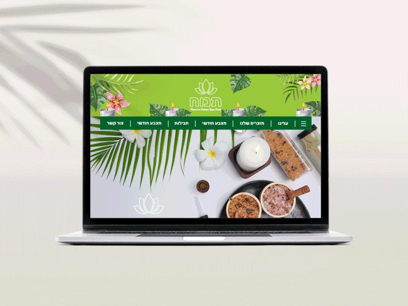 Spa Website Design design graphic design spa website