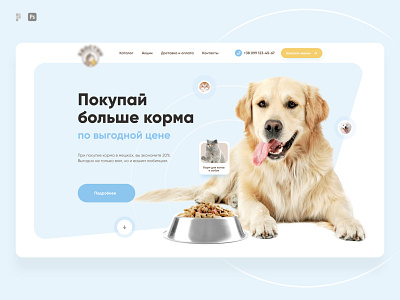 Food for cat & dog design figma landing landing page ui ux web