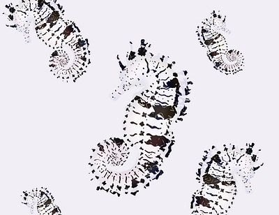 Seahorses abstract animals art black and white digital art fish illustration minimal no color pattern print sea animals seahorse society6