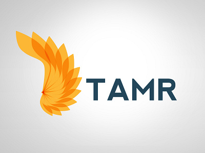 Tamr identity exploration one branding id logo