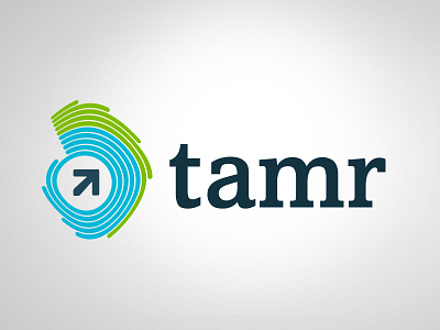 Tamr identity exploration two branding id logo