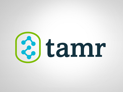 Tamr identity exploration three branding id logo