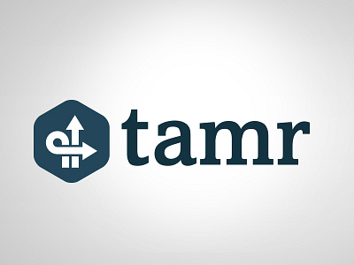 Tamr identity exploration five branding id logo