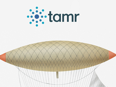 Tamr Poster poster