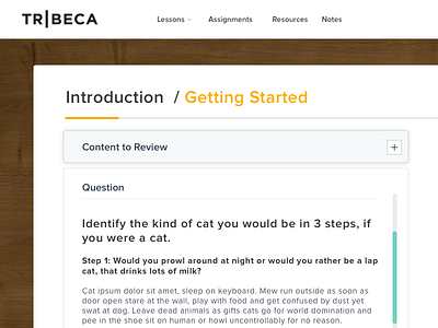 Cat Questions app class design e learning