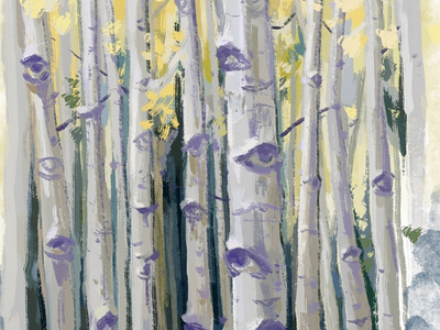 birch forest