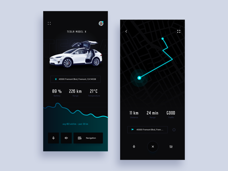 Tesla app ios