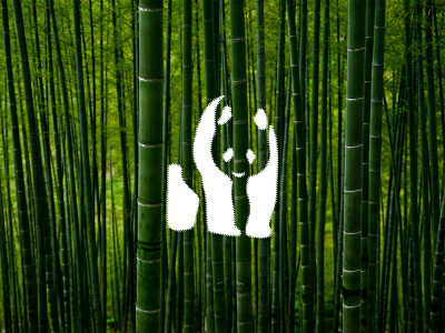 Panda Global - 50 Days of Logos