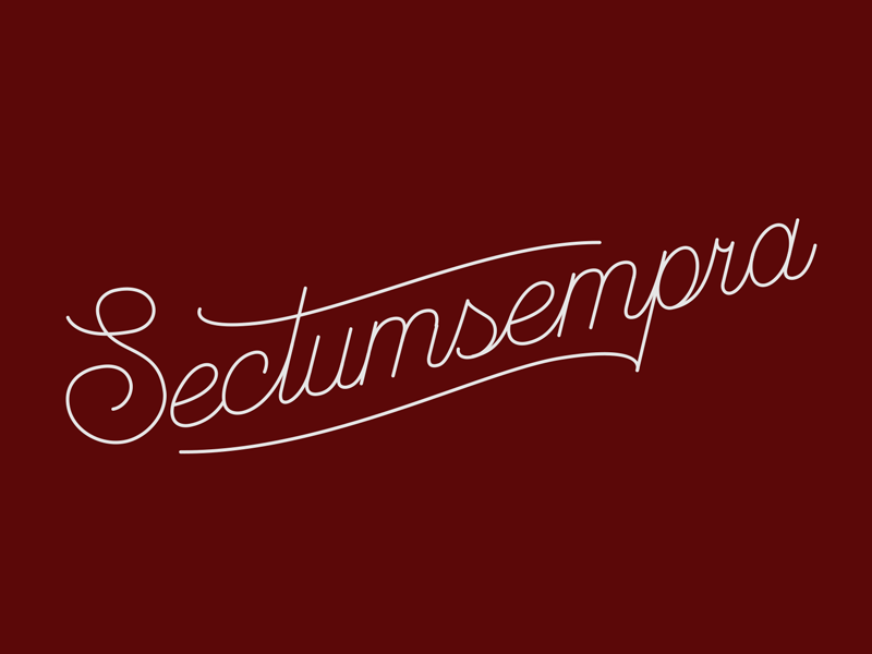 Sectumsempra animation hand handlettering harry harrypotter lettering monoline potter red script sectumsempra spell spelling wordart