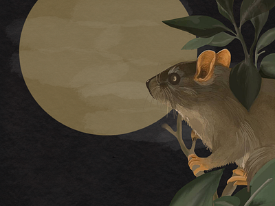 Field Mouse Moon animals fauna flora illustration moon mouse native rat