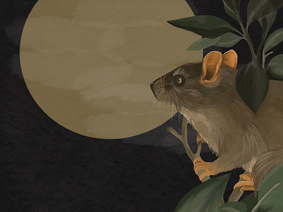 Field Mouse Moon