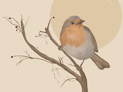 Little Robin animals bird fauna flora illustration moon native