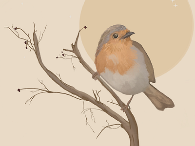 Little Robin