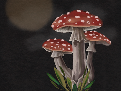 Lunar Shrooms fauna flora forest illustration moon mushroom native toadstool
