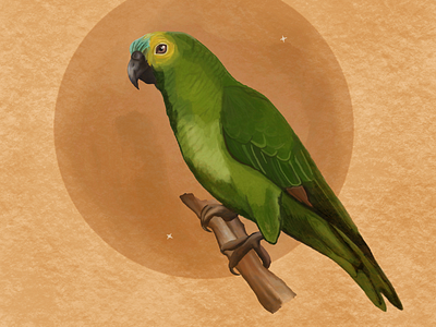 Common Green Australian Parrot