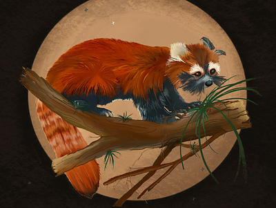 Red Tree Panda animals fauna flora illustration moon native