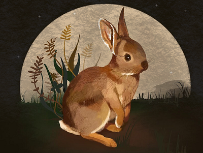Rabbit Run animals bunny fauna flora illustration moon native rabbit