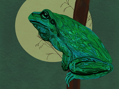Creekside Croakin' animals fauna flora frog illustration moon native toad