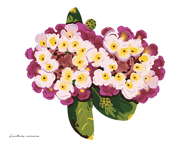 Inedible Arrangements (Lantana) floral flower illustration lantana painting plant