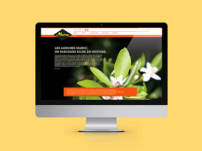 Agrumes du Maroc - Identity and web design