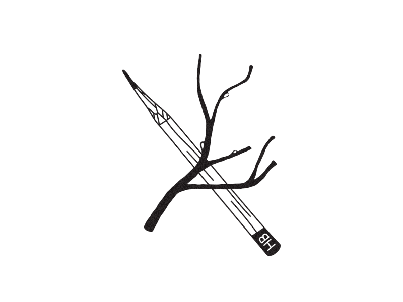 Pencil And Branch