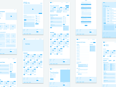 Wireframes