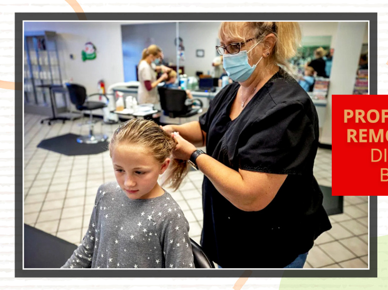 Professional Lice Removal Seattle Discover The Best Salon by Knock Out