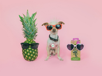 Lifestyle photography for Earth Rated dogs fun lifestyle pets photography pineapple poop bags summer sunglasses