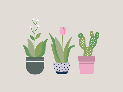 Plant Pots cactus design floral icons illustration nature plant pots plants spring tulip vector