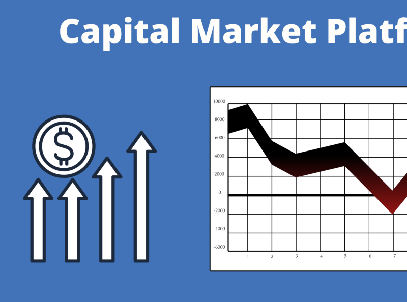 Capital Markets Platform by Dharmendra Kapoor on Dribbble