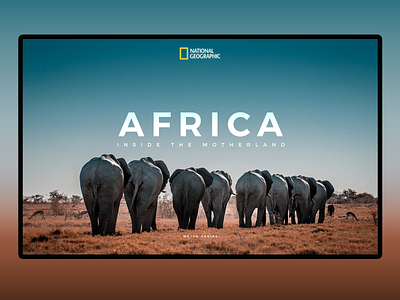 Africa Documentary africa documentary interface design ott travel tv wildlife
