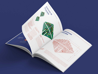 Information Design branding editorial design graphic design illustration indesign infographic vector