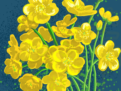 Buttercups