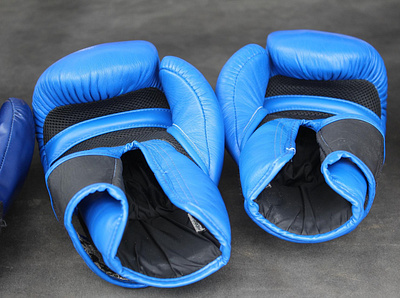 Best Boxing Gloves Under 50 myspicyreviews