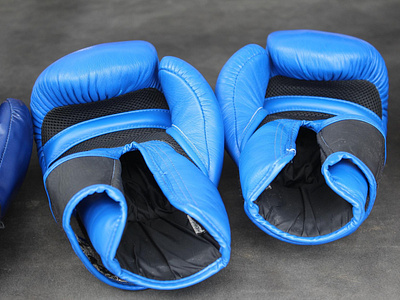 Best Boxing Gloves Under 50