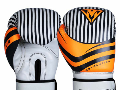 Best Boxing Gloves Under 50