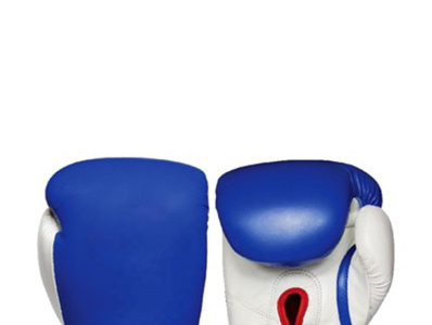 Best Boxing Gloves Under 50