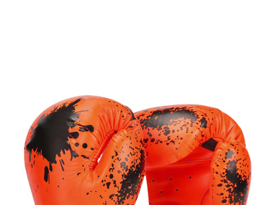 Best Boxing Gloves Under 50