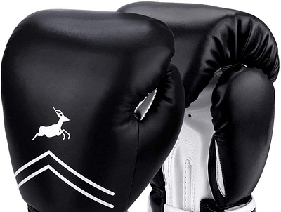 Best Boxing Gloves Under 50