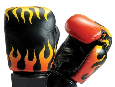 Best Boxing Gloves Under 50