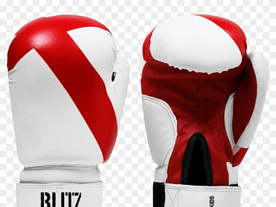 Best Boxing Gloves For Wrist Support