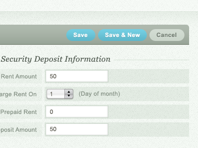 Online application form arial button form georgia input field