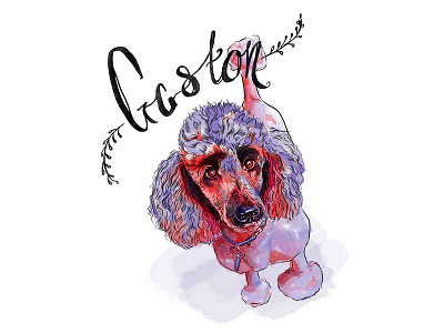 Gaston digital dog drawing hand lettering illustration painting pet poodle portrait