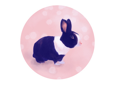 Cosmo animal bunny digital dutch bunny illustration painting portrait rabbit