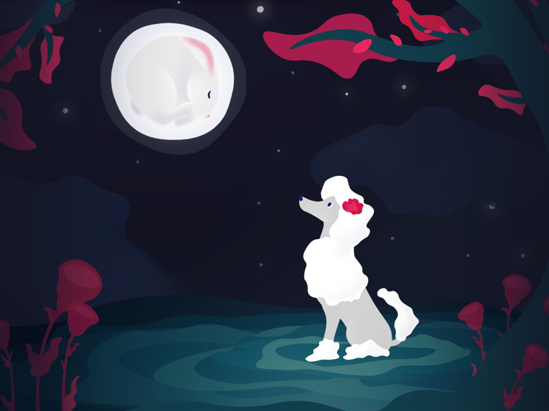 Hello! 2d animation after effects animation bunny dog illustration moon night poodle rabbit trees typography