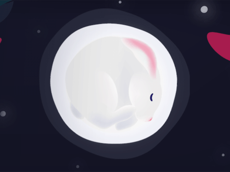 Moon Rabbit 2d animation animation bunny design illustration moon rabbit motion design motion illustration nose rabbit white rabbit