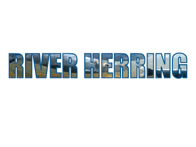 Herring font design typography