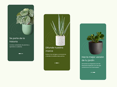 Plants app dailyui design figma ui uidesign